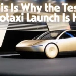 Tesla Robotaxi