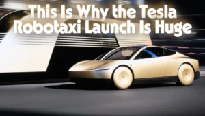 Tesla Robotaxi